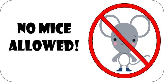 Image result for no mice