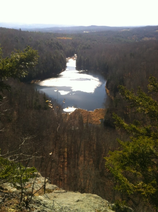 Hawkins Pond from above